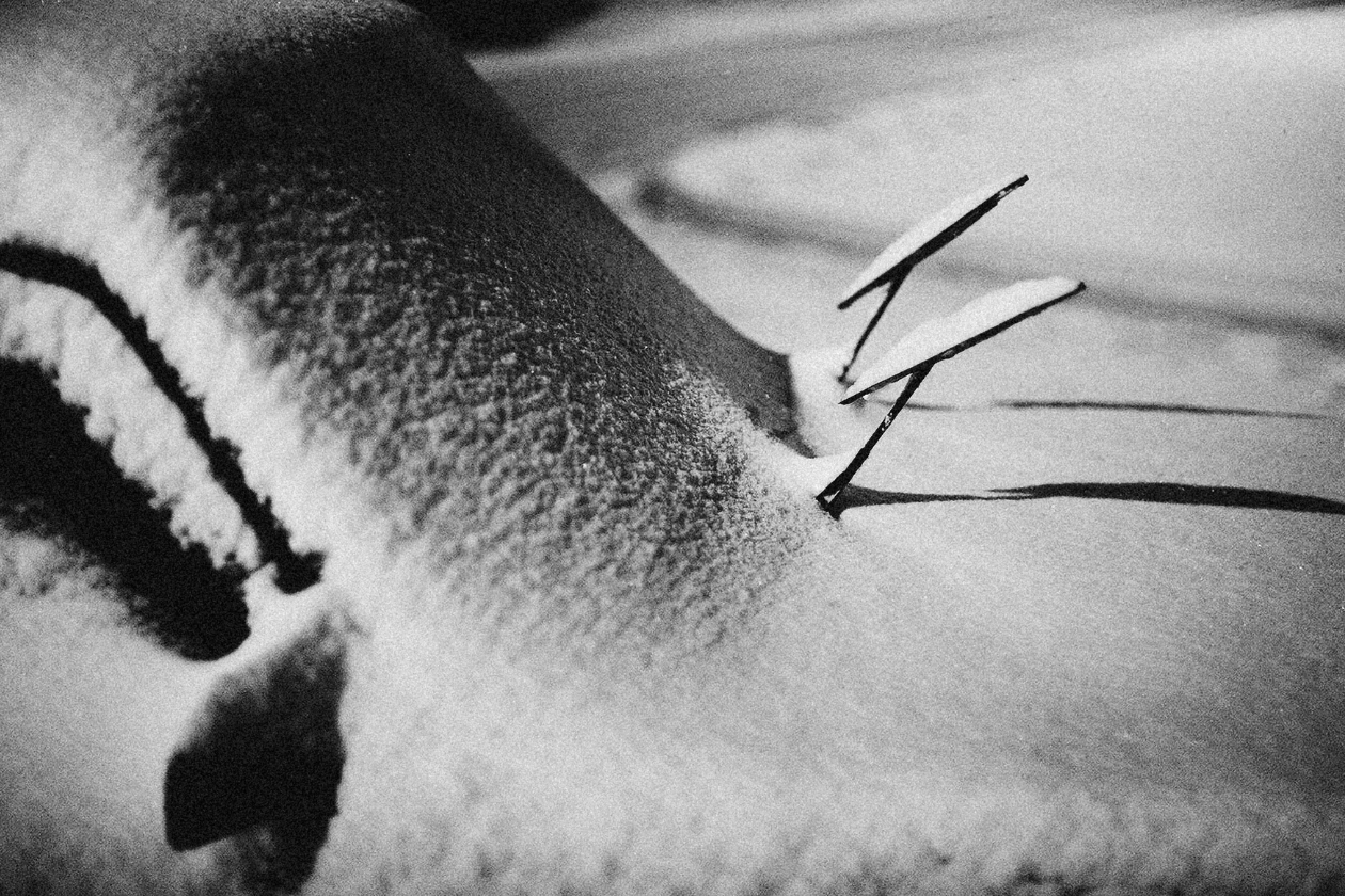 Read more about the article Augusta Winter Parking Ban Begins November 15