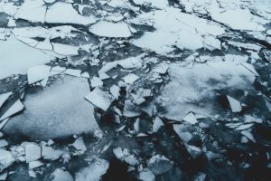 Read more about the article Maine Native Sets World Record for Swimming Under Ice